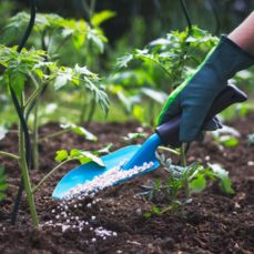 Fertilizers and Soil Additives